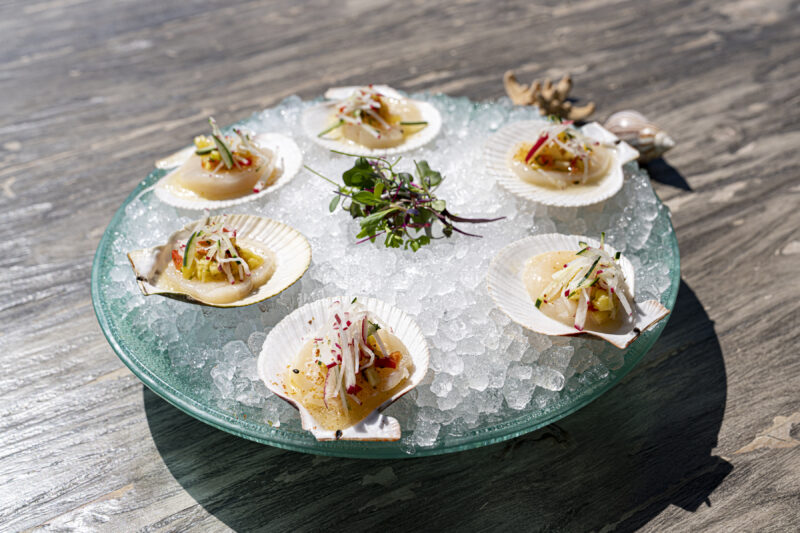 Moonshadows Malibu - Fresh Sashimi Scallops appetizer