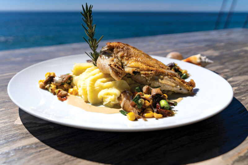 Moonshadows Malibu - Free-Range Chicken with Corn, Mushrooms, Truffled Chicken Demi-Glace, Mashed Potatoes
