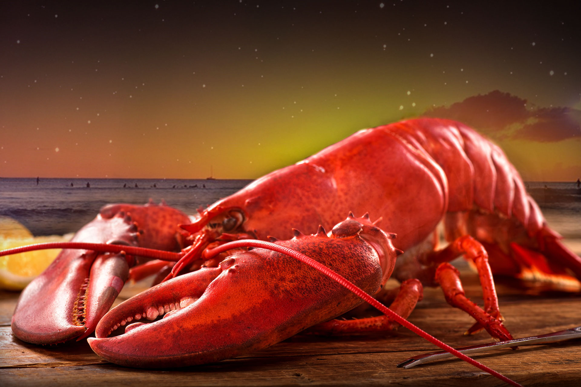 Lobster Season Moonshadows Malibu